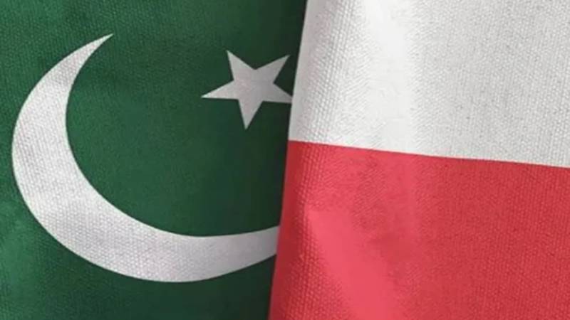 پاکستان اور پولینڈ تجارت، سرمایہ کاری اور توانائی کے شعبے میں تعاون بڑھانے پر متفق