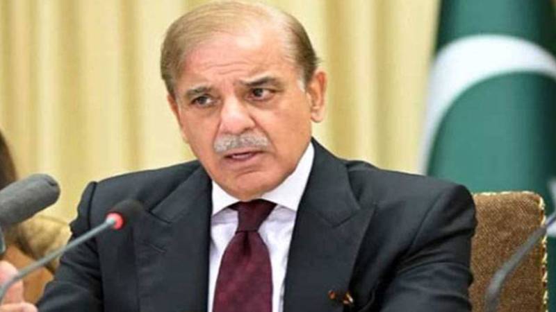 وزیراعظم شہباز شریف کی امریکی صدر ٹرمپ سے ملاقات؛ سرمایہ کاری، معیشت اور دفاعی معاملات پر گفتگو