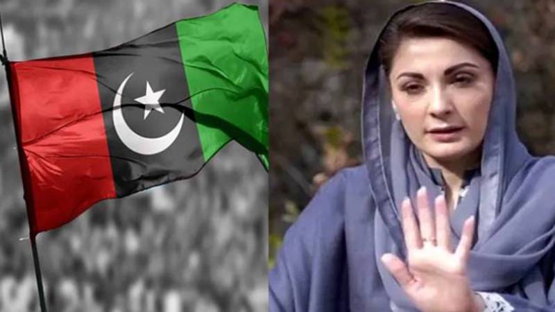 پنجاب: ن لیگ اور پیپلز پارٹی میں لفظی جنگ، پیپلز پارٹی کا وزیراعظم سے ملاقات کا فیصلہ
