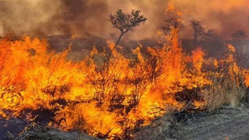 نمیبیا: اٹوشا نیشنل پارک میں آگ، فوج اور ہیلی کاپٹر تعینات