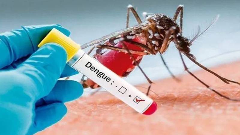 لاہور میں ڈینگی کے مزید 38 مریض رپورٹ، متاثرین کی تعداد میں اضافہ