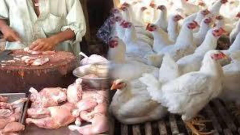 برائلر گوشت کی قیمت میں 22 روپے اضافہ، کلو 446 روپے تک جا پہنچا