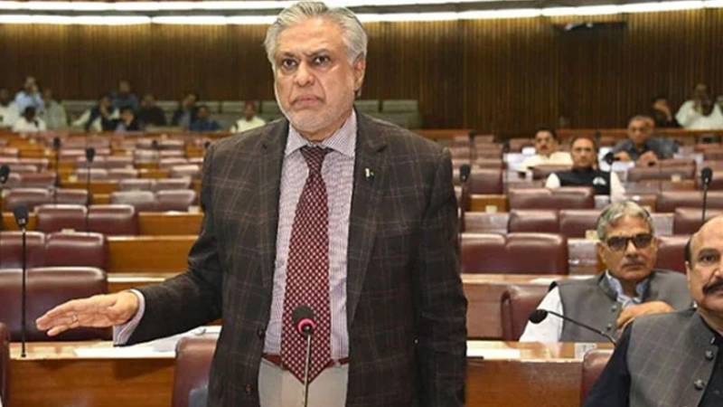 ٹرمپ کے 20 نکات اسلامی ممالک کی مشترکہ تجاویز ہیں: اسحاق ڈار
