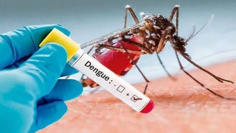 پنجاب میں ڈینگی وائرس کے کیسز میں اضافہ، 63 نئے مریض رپورٹ