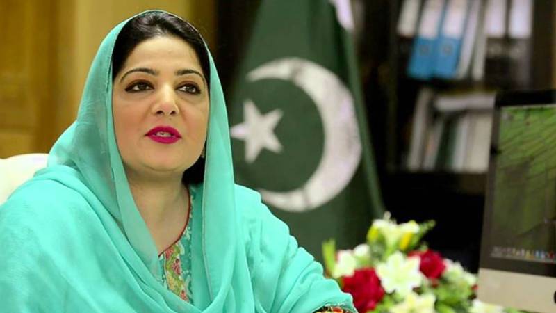 سینیٹر انوشہ رحمان خان کو پنجاب کا سینئر ایڈوائزر مقرر کر دیا گیا