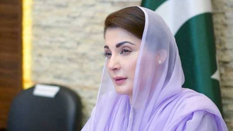 وزیراعلیٰ پنجاب کا قدرتی آفات سے نمٹنے کے لیے تیاری پر زور