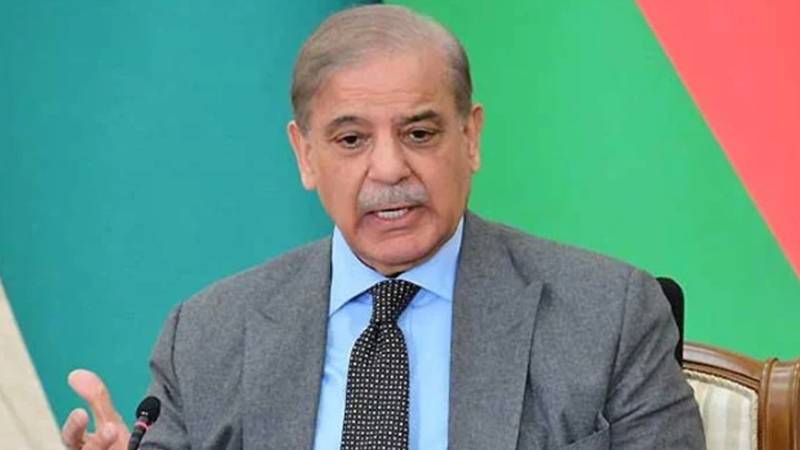 فلسطینی عوام کی آزادی اور خوشحالی پاکستان کی خارجہ پالیسی کا بنیادی ستون ہے:وزیراعظم شہباز شریف