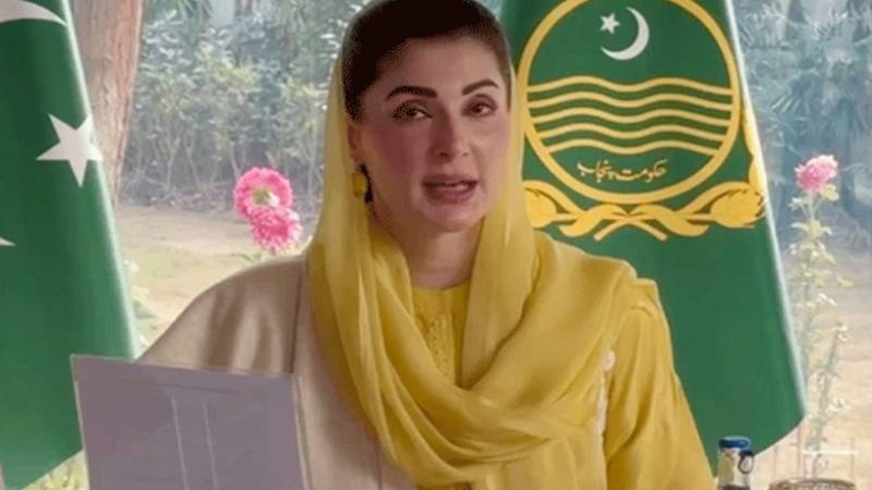 دیہی خواتین محنت، محبت اور قربانی کی علامت ہیں، ان کے بغیر خوشحال پنجاب کا خواب ممکن نہیں: مریم نواز شریف