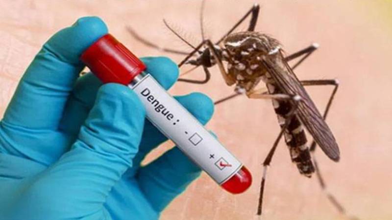 لاہور: 24 گھنٹوں میں ڈینگی کے 10 نئے کیسز رپورٹ، سال بھر کے کیسز 392 تک پہنچ گئے