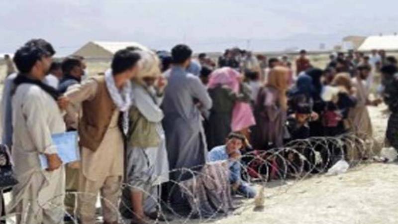 فیصل آباد میں مقیم 119 افغان مہاجرین نے رضاکارانہ طور پر پاکستان چھوڑ دیا