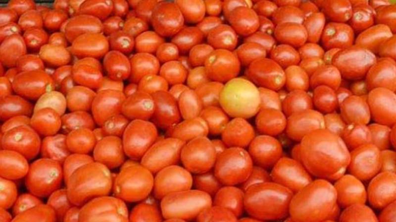 ٹماٹر کی قیمت میں غیرمعمولی اضافہ، فی کلو 560 روپے میں فروخت