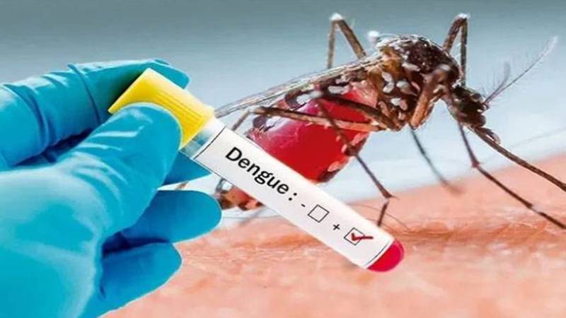 لاہور میں ڈینگی کے وار جاری، مزید 9 افراد وائرس میں مبتلا