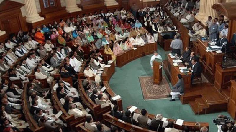 پنجاب اسمبلی کی اپوزیشن کے تمام ارکان نے قائمہ کمیٹیوں سے استعفے دے دیے