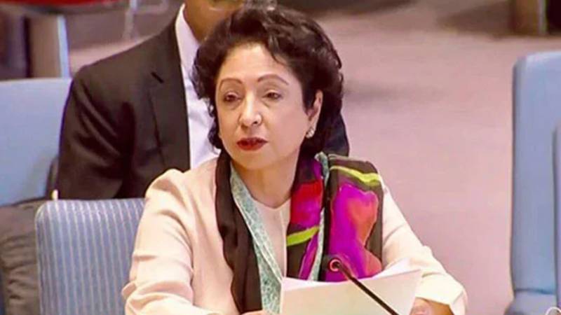 پاکستان اور افغانستان کے درمیان تناؤ کی اصل وجہ تحریک طالبان پاکستان (ٹی ٹی پی) ہے:ملیحہ لودھی