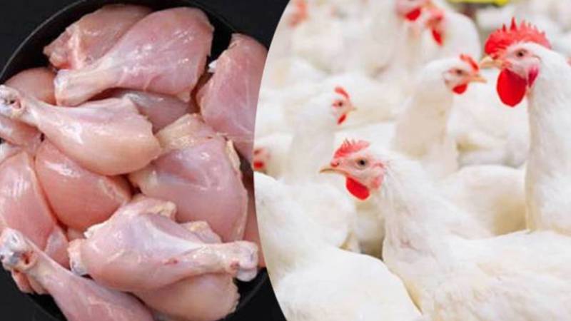 لاہور میں برائلر گوشت کی نئی قیمت فی کلو 403 روپے مقرر