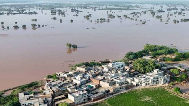 پنجاب میں سیلاب سے متاثرہ اضلاع کو آفت زدہ قرار، فوری بحالی کا اعلان