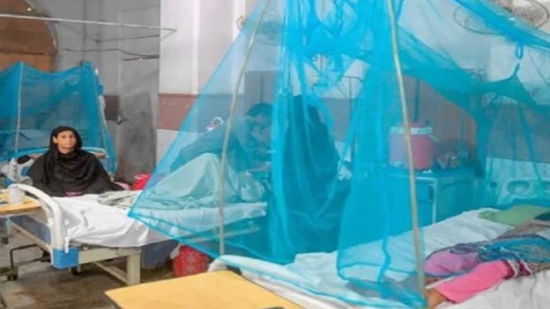 راولپنڈی میں گزشتہ 24 گھنٹوں میں 19 نئے ڈینگی کیسز، کل 1196 متاثر