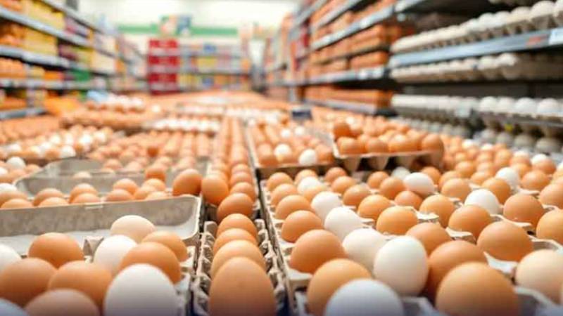 کوئٹہ میں فارمی اور دیسی انڈوں کی قیمتوں میں اضافے