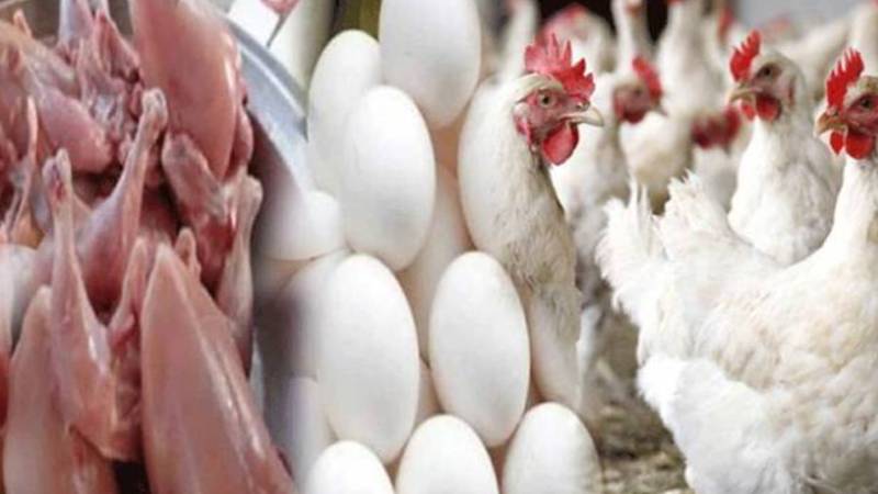 پاکستان میں برائلر گوشت اور انڈے کی قیمتیں آسمان کو چھونے لگی