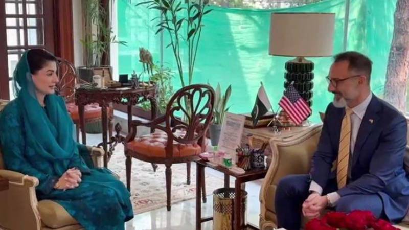 مریم نواز نے امریکی سرمایہ کاروں کو پنجاب میں سرمایہ کاری کی دعوت دی