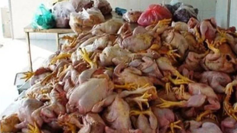 بہاولنگر میں مردہ مرغیوں کی فروخت پر ملزم کو 4 سال قید و 10 لاکھ جرمانہ