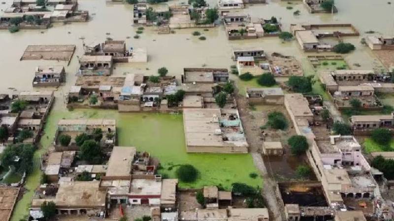 سندھ کے کسانوں کا جرمن کمپنیوں کے خلاف قانونی اقدام کا اعلان
