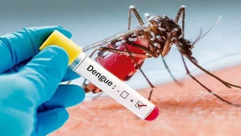 لاہور میں ڈینگی وائرس کے 42 نئے کیسز کی تصدیق