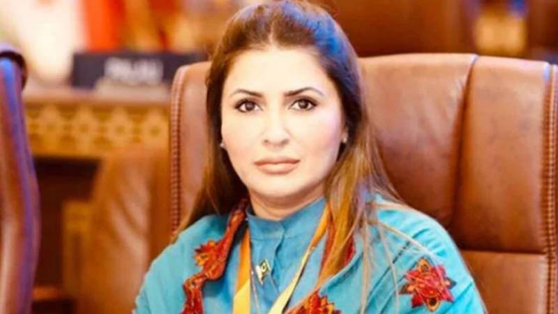  شہباز شریف نے آصف علی زرداری سے 27 ویں ترمیم کی حمایت کی درخواست کی:شازیہ مری کا دعویٰ