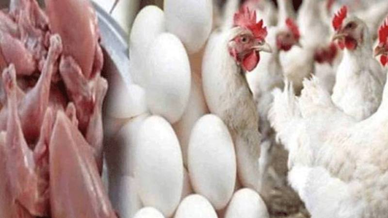 لاہور میں برائلر اور انڈوں کی قیمتیں مستحکم، اوور چارجنگ جاری