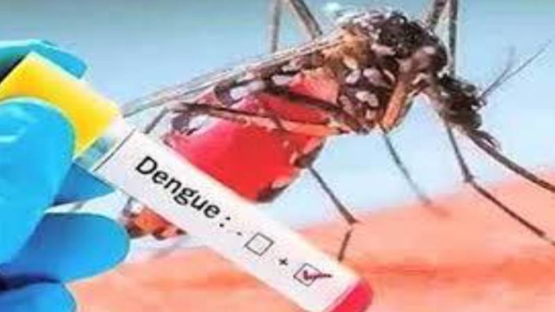 اسلام آباد میں ڈینگی کے 10 نئے کیسز، مریضوں کی تعداد 44 تک پہنچ گئی