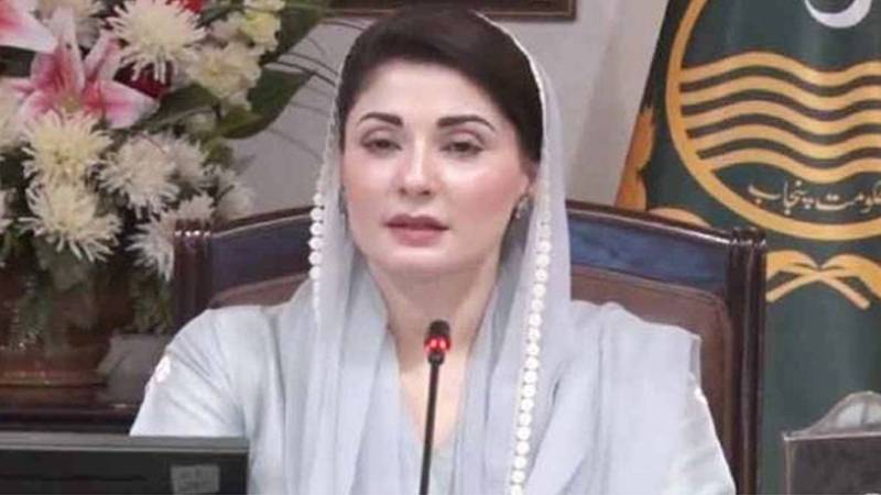 وزیراعلیٰ مریم نواز کے اسپیشل اقدامات: آٹسٹک بچوں کے لیے فری تعلیم و تھراپی کا اعلان