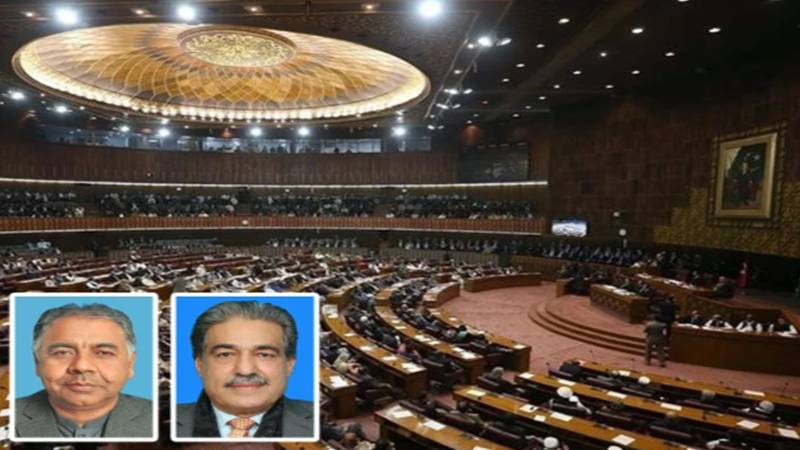 سینیٹ اجلاس میں ارکان کی گرما گرمی؛ سینیٹر سیف اللہ ابڑو اور ناصر بٹ آمنے سامنے