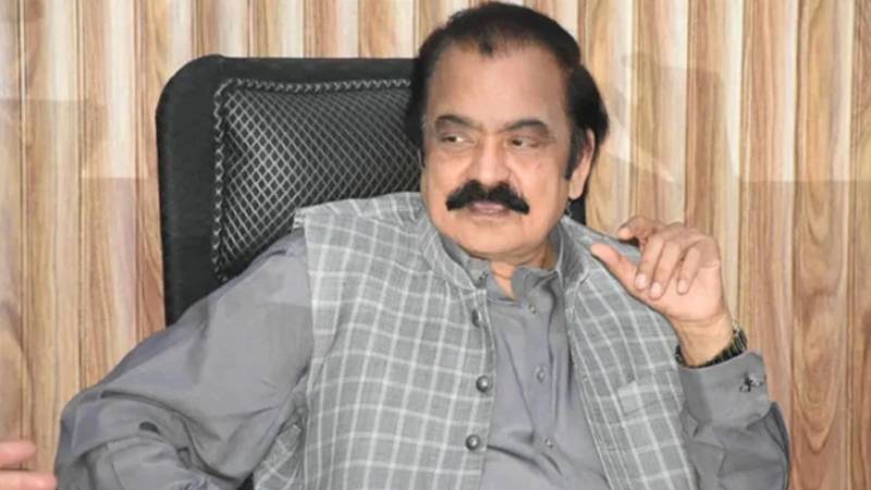 آرٹیکل 243 اور آئینی عدالت پر اتفاق رائے ہوچکا ہے، رانا ثنا