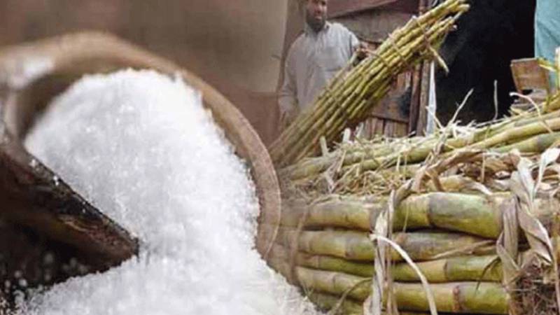 پنجاب میں گنے کے کرشنگ سیزن 2025-26 کا آغاز 15 نومبر سے ہونے کا اعلان