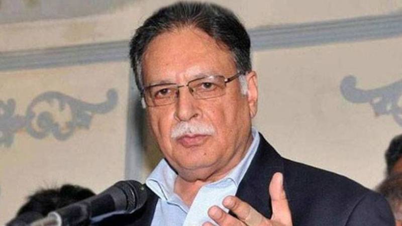 پی ٹی آئی کے کسی رکن نے آئینی ترمیم کے خلاف ووٹ نہیں دیا:سینیٹر پرویز رشید
