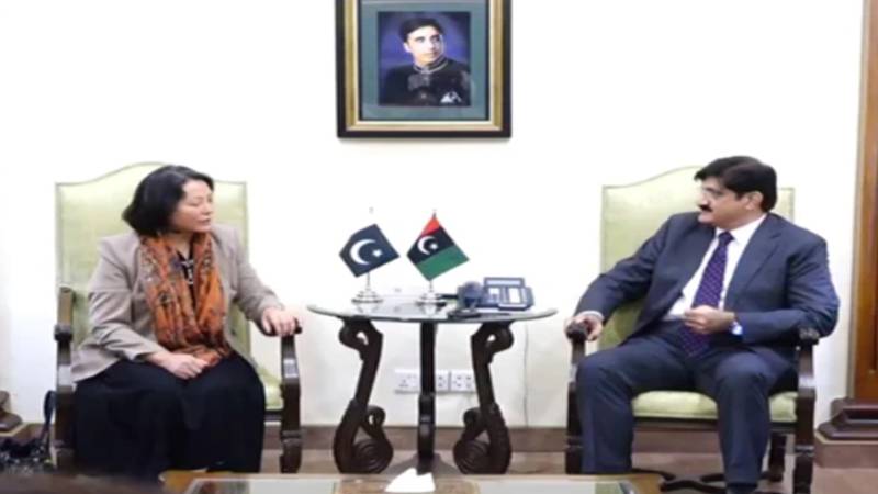 ایشیائی ترقیاتی بینک وفد کی وزیراعلیٰ سندھ سے ملاقات، جاری ترقیاتی منصوبوں پر تبادلہ خیال