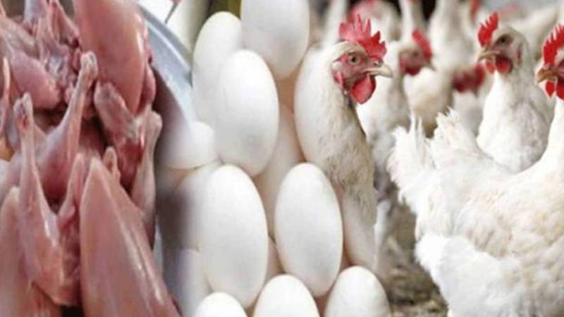 مرغی گوشت اور انڈوں کی قیمتوں میں اضافہ