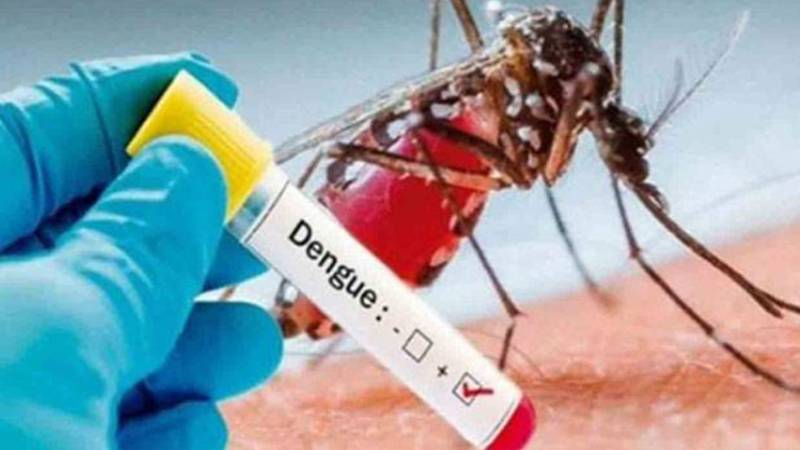 لاہور میں ڈینگی وائرس کے کیسز میں اضافہ، 14 نئے مریض رپورٹ