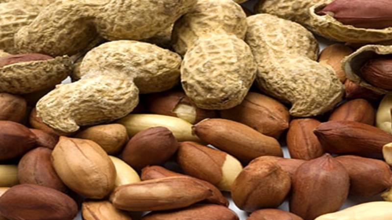 سردیوں میں مونگ پھلی کھانے کے بعد پانی پینے سے کیا خطرہ ہے؟