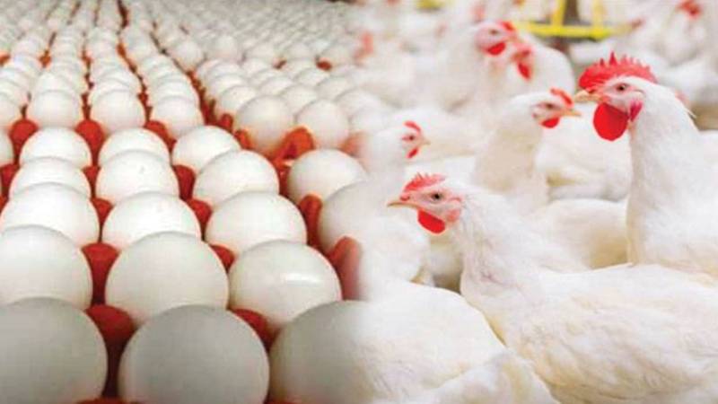 سردی سے انڈوں کی قیمت میں اضافہ، گوشت کی قیمت میں کمی