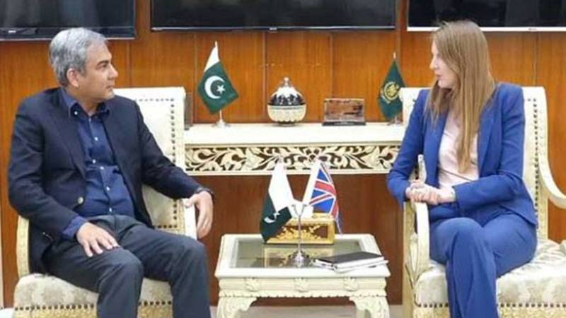 محسن نقوی اور برطانوی ہائی کمشنر کے درمیان ملاقات، شہزاد اکبر اور عادل راجہ کی وطن واپسی پر تبادلہ خیال