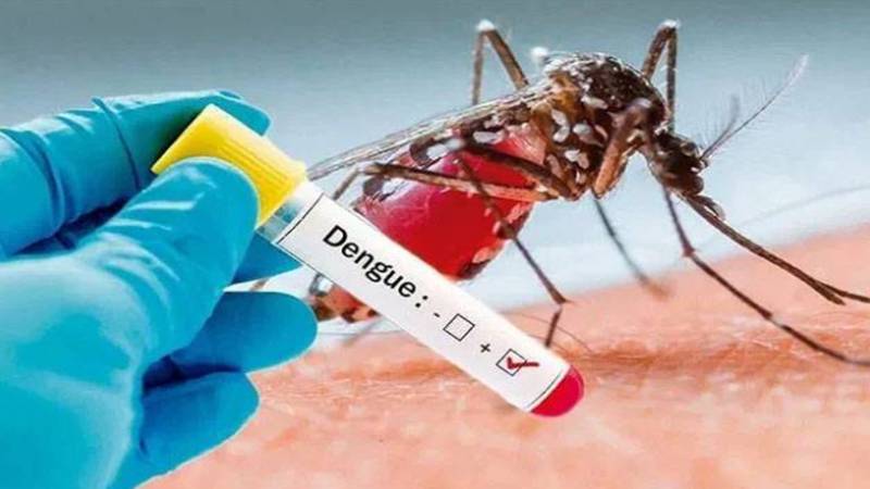 شہر کے مختلف علاقوں سے ڈینگی بخار کے 10 نئے مریض رپورٹ