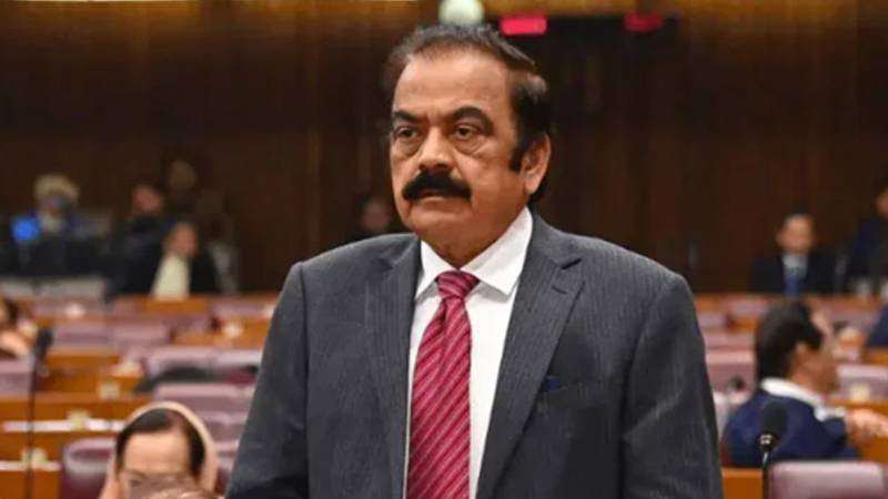پی ٹی آئی والے جن سے بات کرنے کو تیار ہیں وہ نہیں کرنا چاہتے، رانا ثناء اللّٰہ