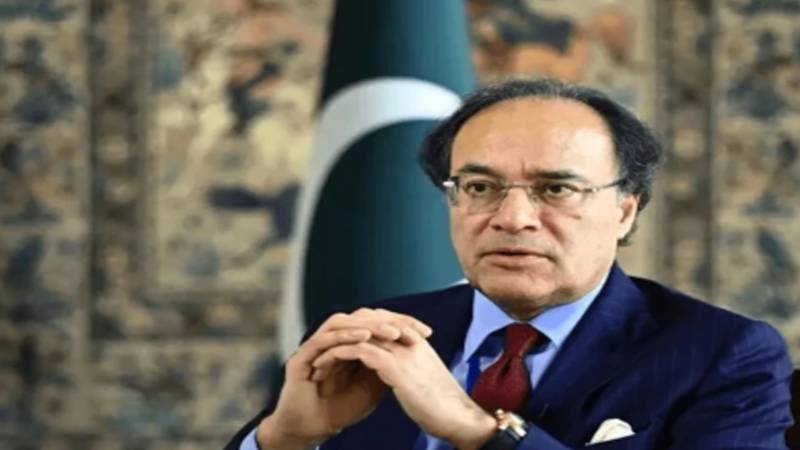 وزیر خزانہ کا اقتصادی استحکام کے لیے عزم کا اظہار