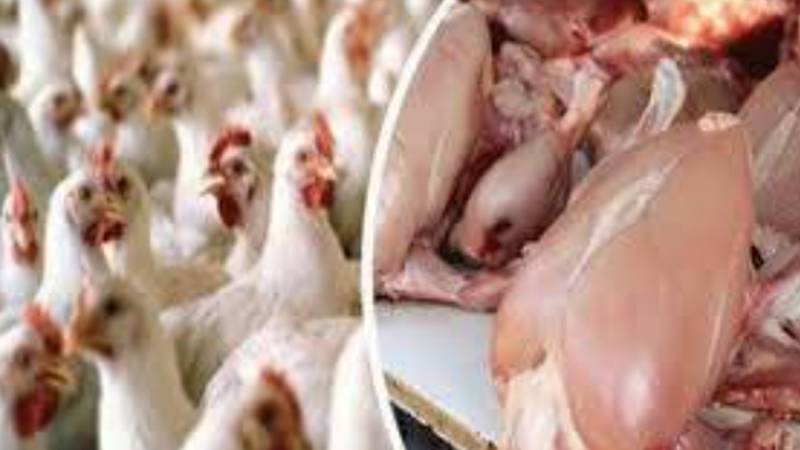 برائلر گوشت 22 روپے مہنگا