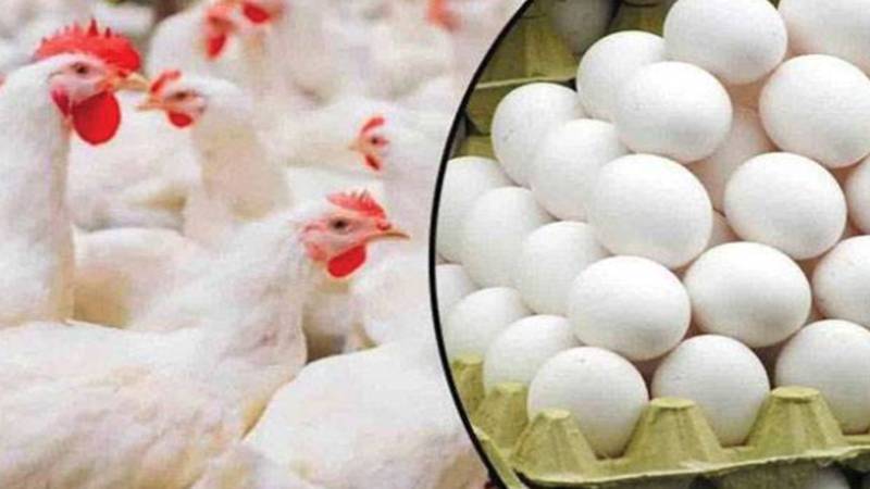 برائلر اور انڈوں کی قیمتوں میں بےتحاشا اضافہ