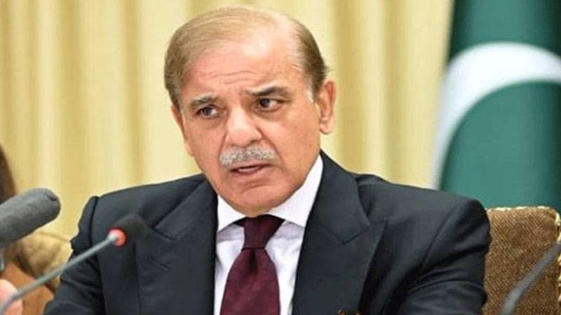 حکومت سنبھالنے پر پاکستان کی معیشت نازک حالت میں تھی: وزیراعظم شہباز شریف ن