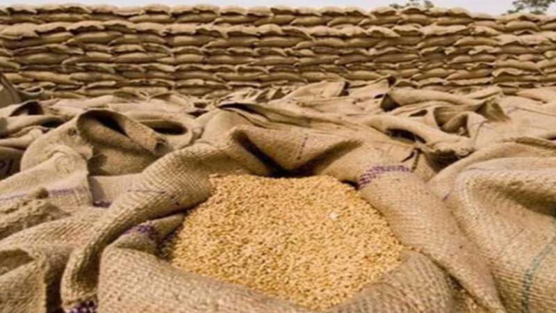 سندھ کابینہ نے گندم کی اجرا قیمت میں کمی کی منظوری دے دی