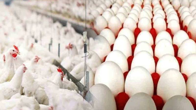 ملک بھر میں برائلر گوشت کی قیمت 500 روپے فی کلو سے تجاوز، انڈوں کی قیمت میں بھی اضافہ