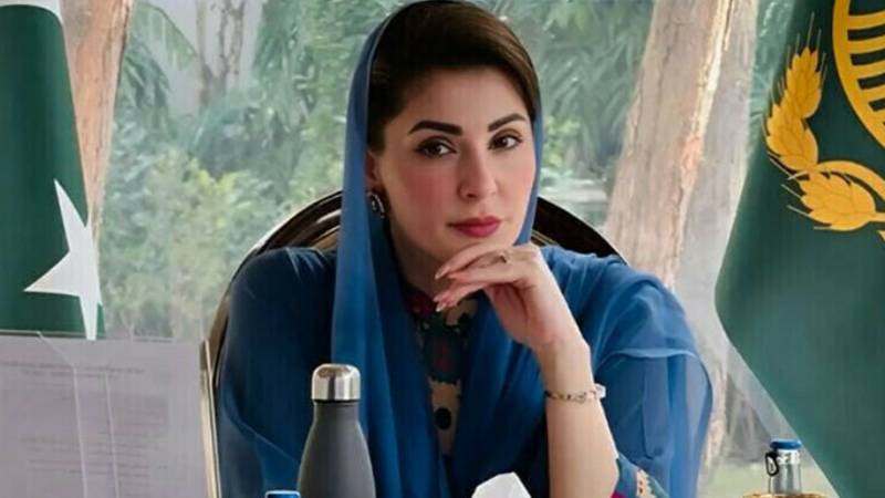 ہجرت کے حقوق کا تحفظ عالمی برادری کی مشترکہ ذمہ داری ہے:مریم نواز